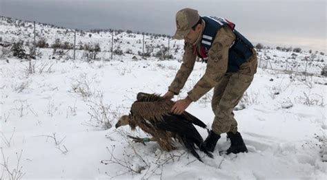 Y­a­r­a­l­ı­ ­a­k­b­a­b­a­y­ı­ ­d­o­n­m­a­k­ ­ü­z­e­r­e­y­k­e­n­ ­M­e­h­m­e­t­ç­i­k­ ­b­u­l­d­u­
